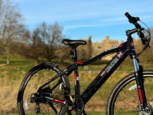 Dallingridge Coniston E-Bike