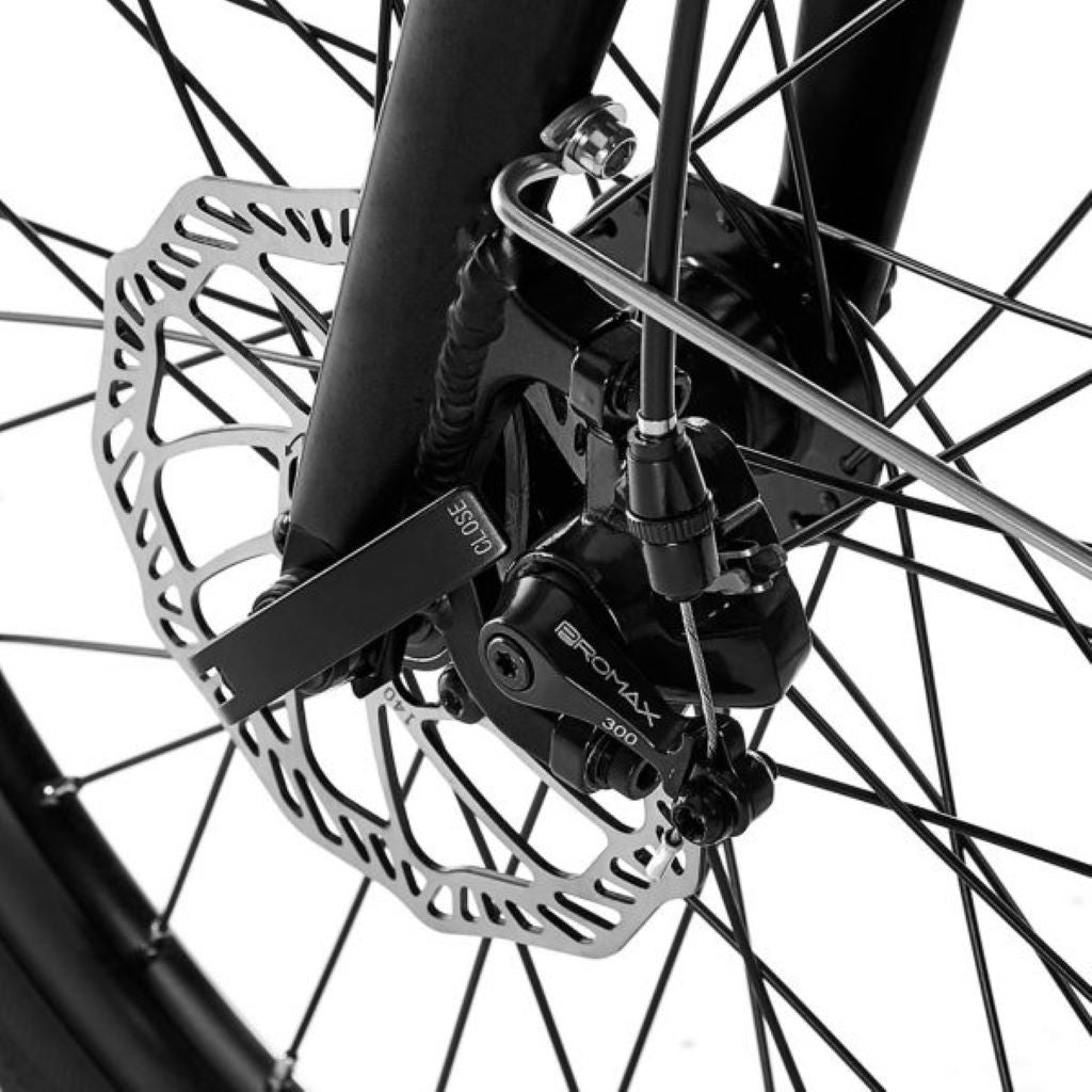 Folding E-Bike Disc Brake 