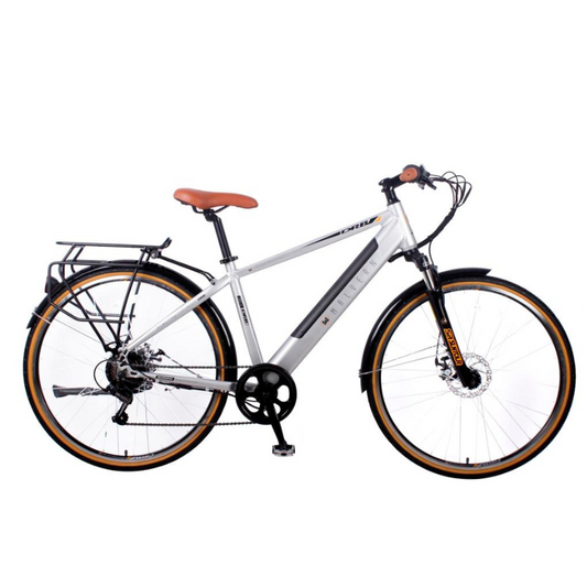 Malvern Electric Bike