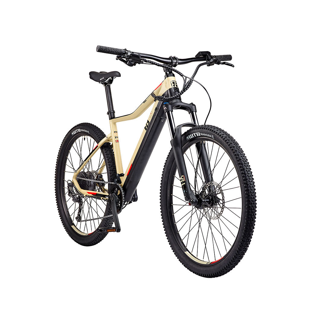 E-Bike eMTB