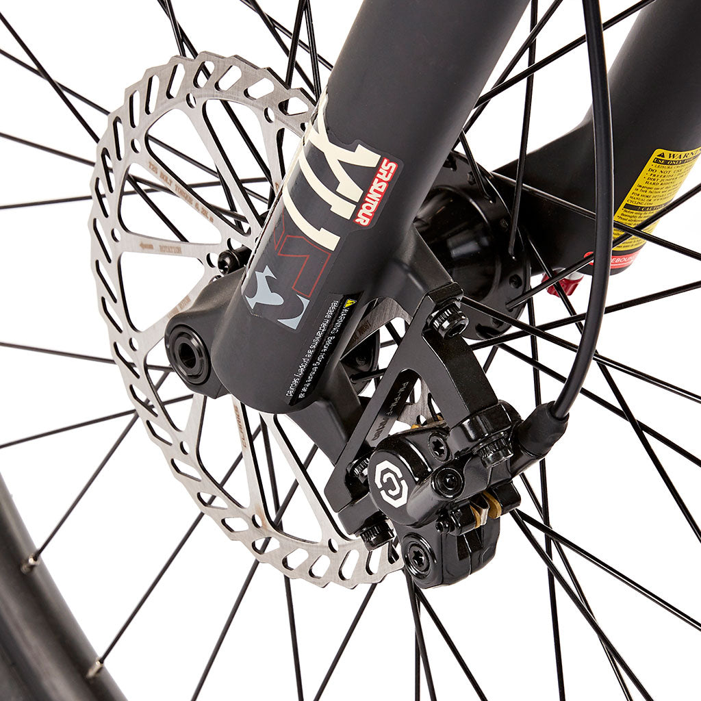 E-Bike eMTB Disc Brake 