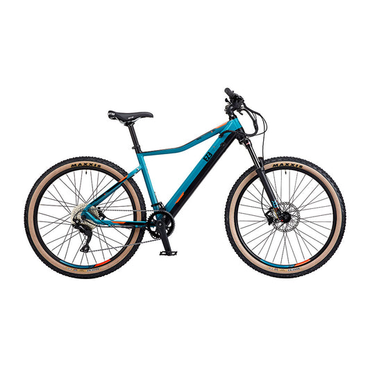 E-Bike eMTB