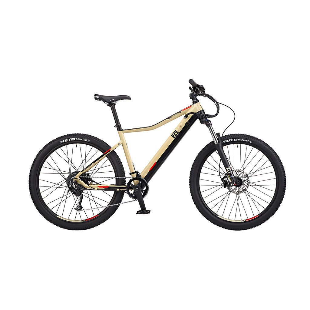 E-Bike eMTB