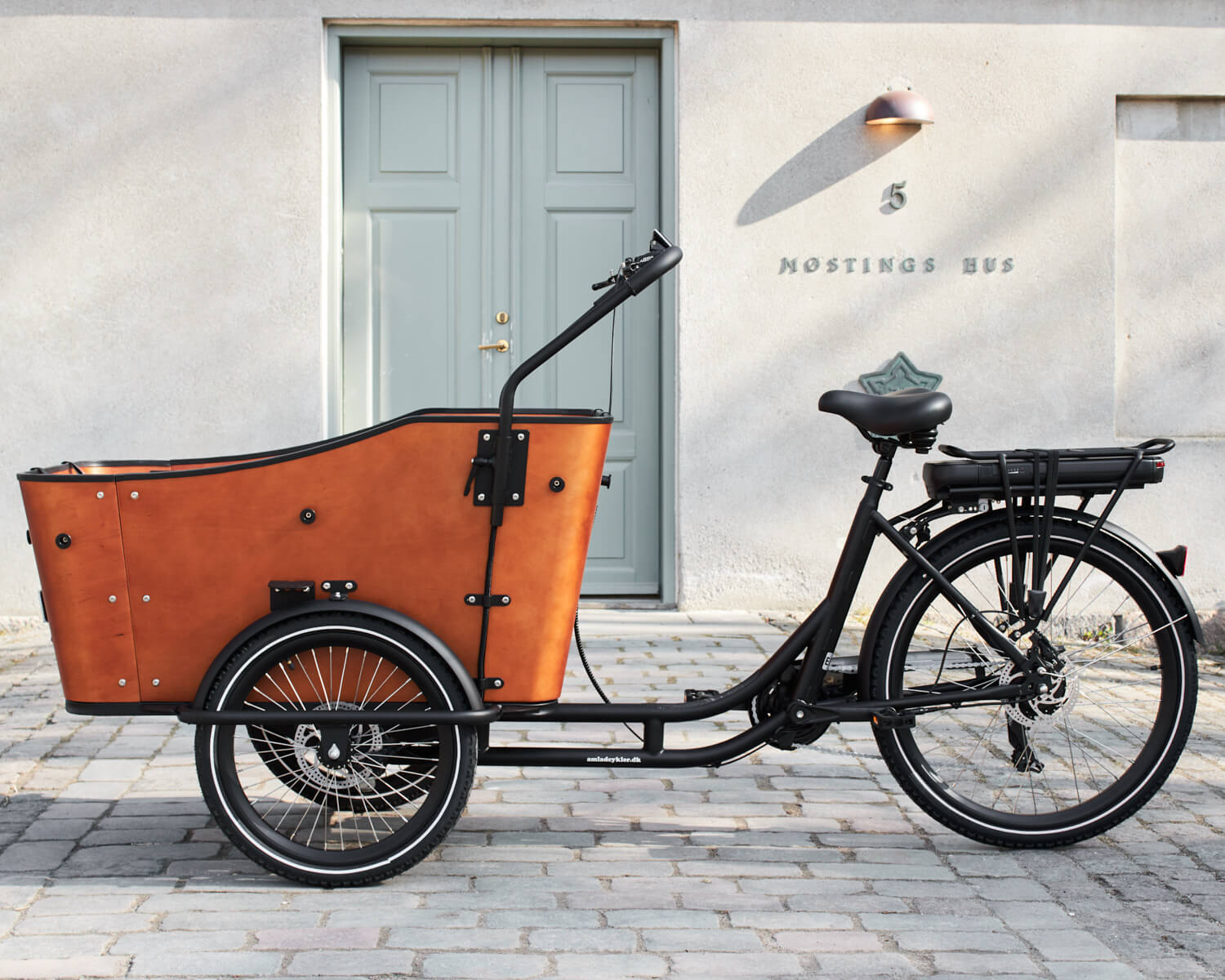 Ultimate Harmony Electric Cargo Bike