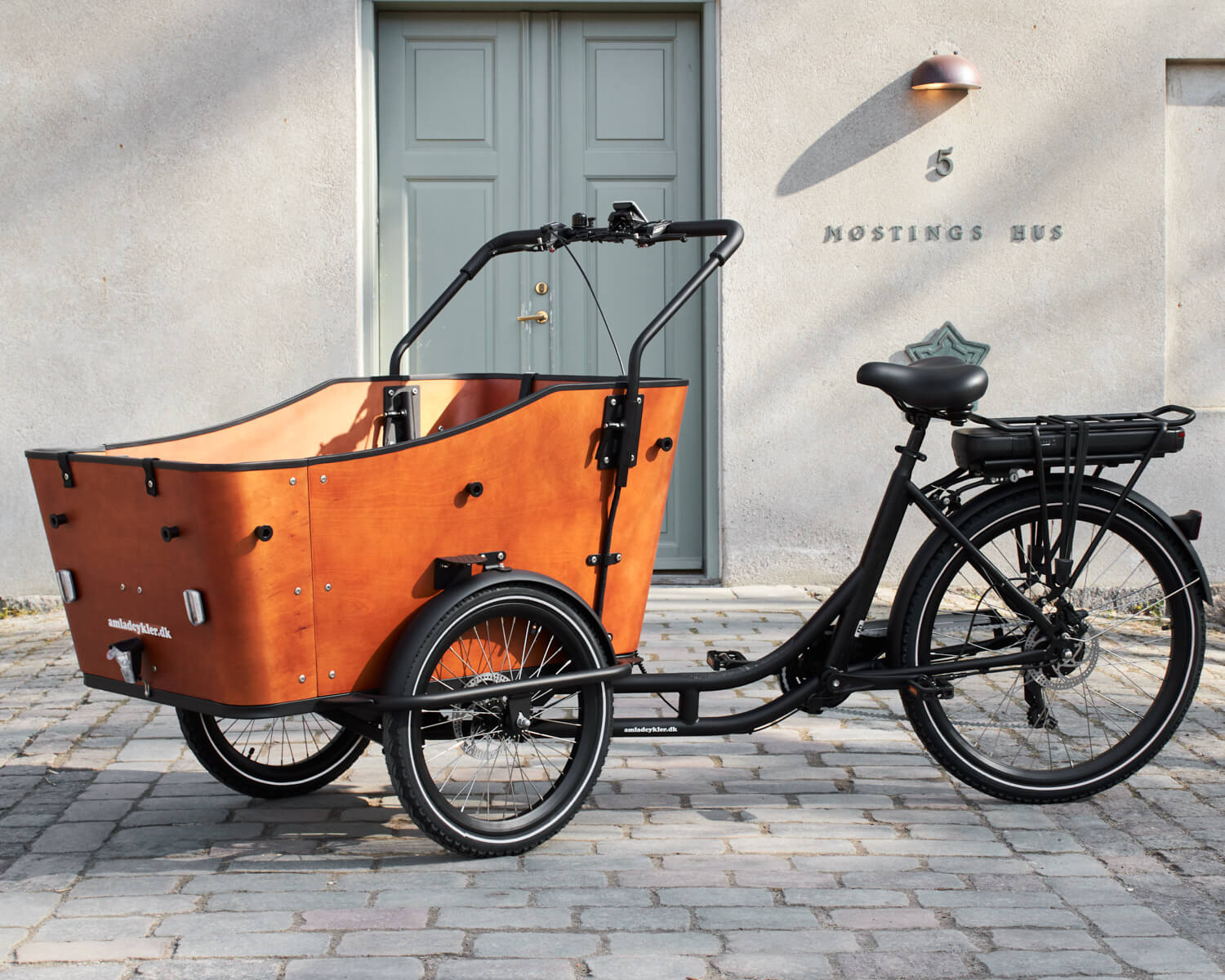 Ultimate Harmony Electric Cargo Bike