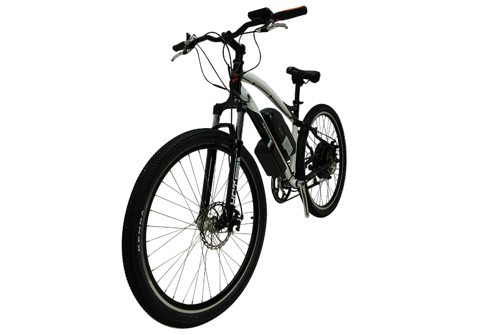 Cyclotricity Stealth eMTB E-bike